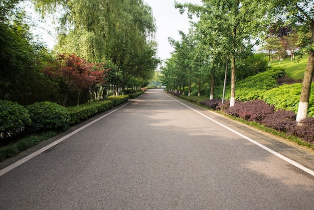 La bella strada è circondata dal verde