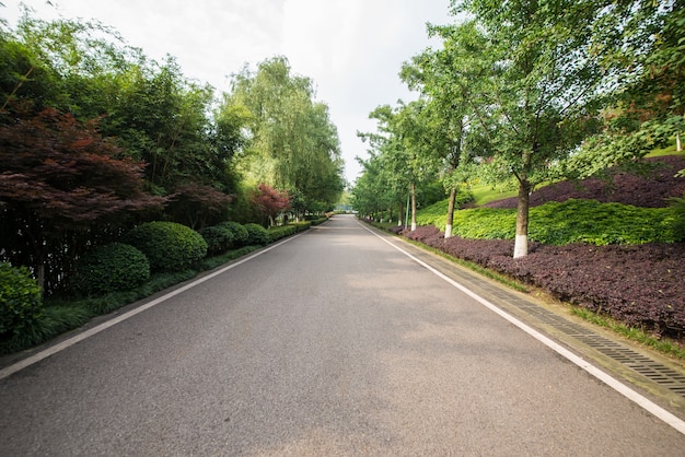 La bella strada è circondata dal verde