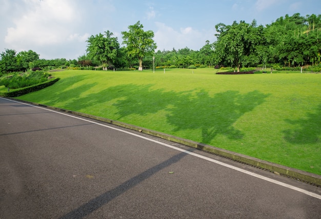 La bella strada è circondata dal verde