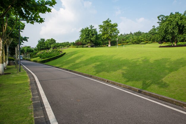 La bella strada è circondata dal verde