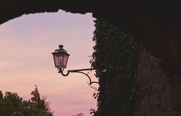 La bella vista di una foglia ha coperto il muro di pietra e un lampione sotto il cielo variopinto