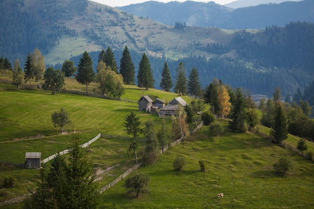 La chiesa dal monastero di Sucevita in Bucovina Romania