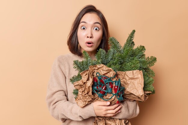 La donna asiatica bruna spaventata fissa gli occhi infastiditi con espressione sorpresa tiene rami di abete verde e la ghirlanda decora la casa prima che il nuovo anno indossi il maglione isolato su sfondo beige. Oddio concetto