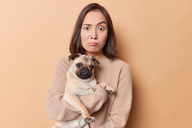 La donna bruna sorpresa scioccata alza le sopracciglia ha posato l'espressione sbalordita con il cane carlino trascorre il tempo libero con l'animale domestico preferito indossa un maglione casual isolato su sfondo beige. Concetto di animali