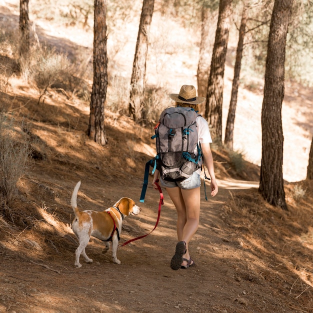 La donna e il suo cane che camminano nel bosco da dietro il colpo