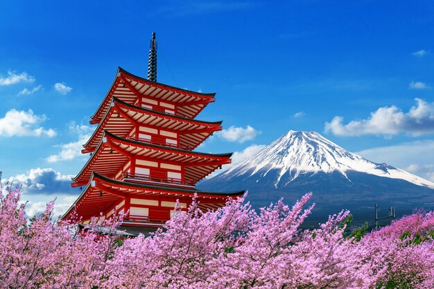 La fioritura dei ciliegi in primavera, la pagoda Chureito e il monte Fuji in Giappone.