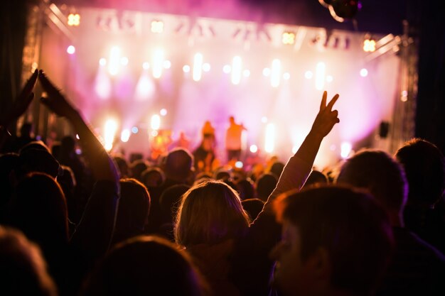 La gente in un festival