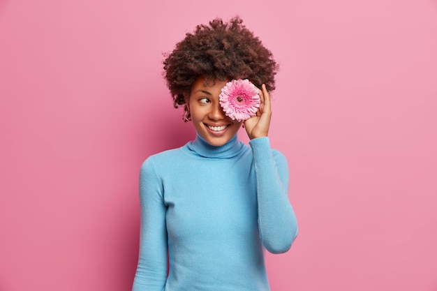 La giovane donna dalla pelle scura positiva felice copre gli occhi con la gerbera rosa, ha un sorriso a trentadue denti, vestita casualmente, posa al coperto, gode della primavera.