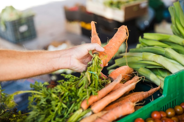 La mano del cliente che tiene la carota fresca mentre comprando la verdura