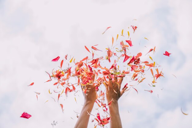 La mano della donna che getta i petali del fiore rosso contro il cielo