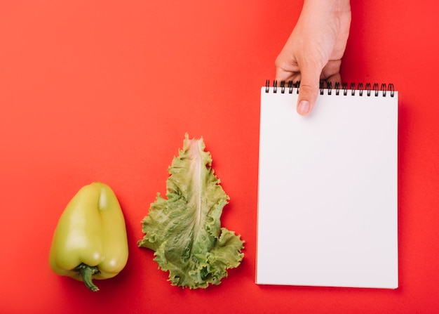 La mano della persona che tiene il blocco note a spirale in bianco vicino a lattuga e peperone verde sopra superficie rossa