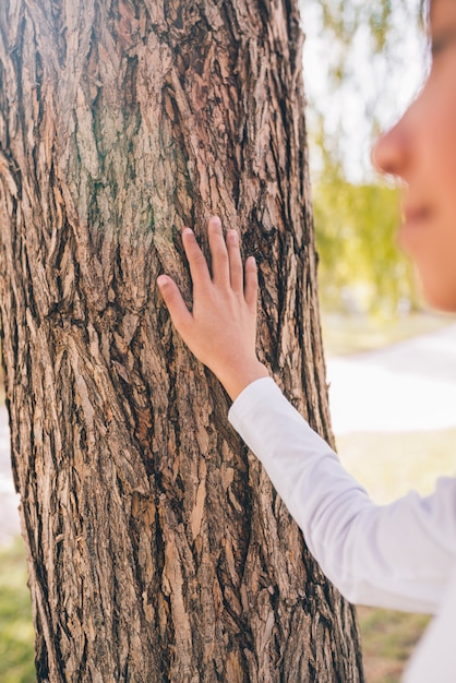 La mano della ragazza che tocca la corteccia di albero con la mano