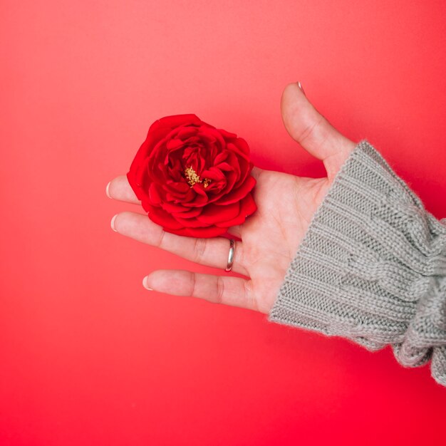 La mano di Lady in maglione lavorato a maglia con fiore