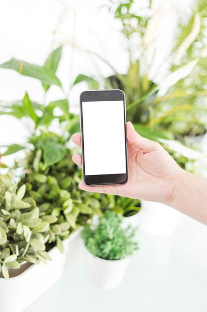 La mano di una persona che tiene il telefono cellulare vicino alle piante in vaso