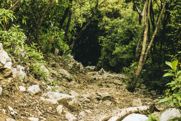 La morte di natura morti il ​​simbolo morire danneggiato