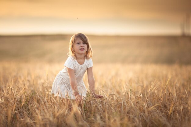 La ragazza cammina nel campo con la segale allo stile di vita al tramonto