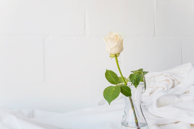 La rosa bianca è in vaso di vetro sul tavolo