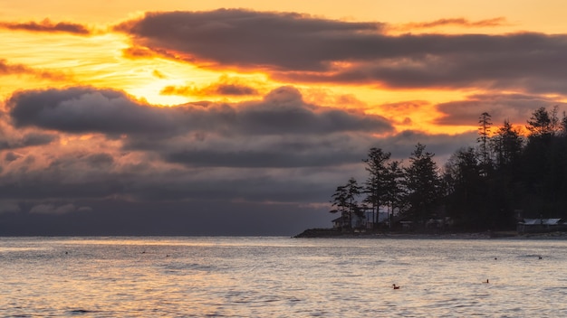 La siluetta degli alberi si avvicina allo specchio d'acqua durante il tramonto