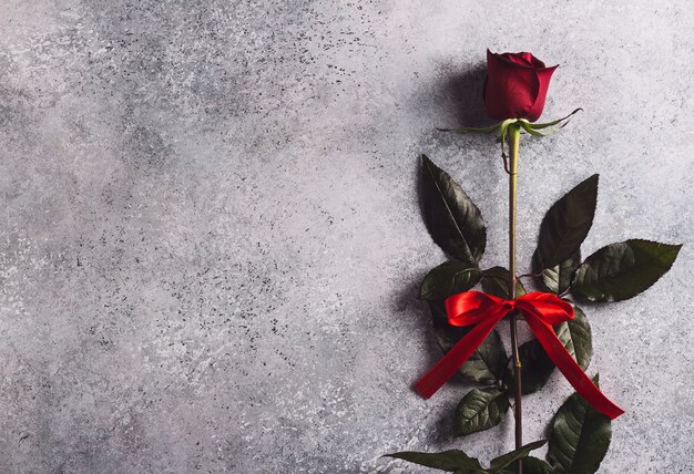 La sorpresa del regalo della rosa rossa di giorno delle madri delle donne di giorno di biglietti di S. Valentino