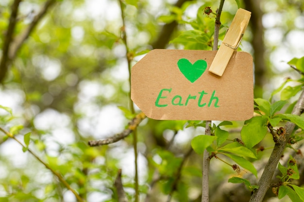 La terra del primo piano firma dentro l'albero