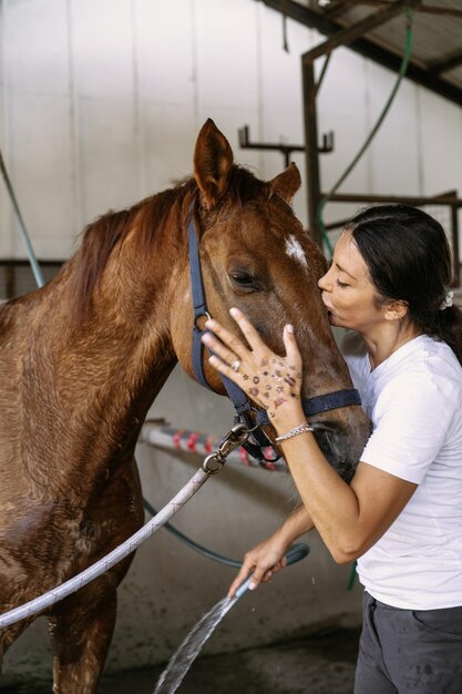 La toelettatrice si prende cura e pettina il pelo del cavallo dopo le lezioni ippodromo. La donna si prende cura di un cavallo, lava il cavallo dopo l'allenamento.