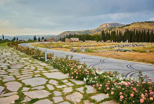 La Turchia è una città d'ingresso nell'antica città di Hierapolis
