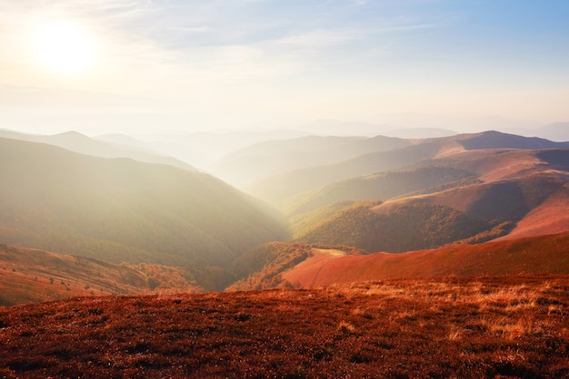 La vegetazione degli altipiani in estate modesta e colori insolitamente belli fiorisce in autunno, prima del freddo. Mirtilli rosso vivo, verde bosco di conifere, arancio buk- montagne sinie- fascino fantastico.