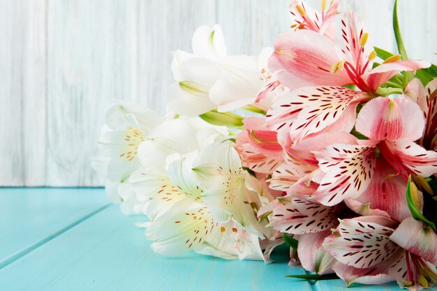 La vista laterale di un mazzo di alstroemeria rosa e bianco di colore fiorisce su fondo di legno blu