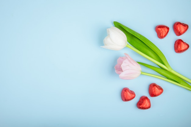 La vista superiore del cuore ha modellato le caramelle di cioccolato in stagnola rossa con i tulipani rosa di colore sulla tavola blu con lo spazio della copia