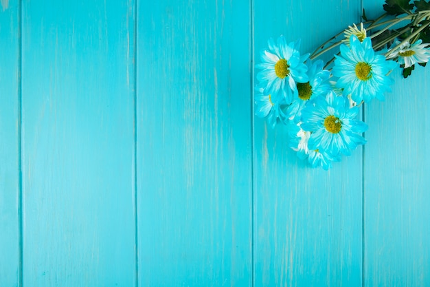 La vista superiore della margherita blu della gerbera di colore fiorisce il mazzo su fondo di legno blu con lo spazio della copia