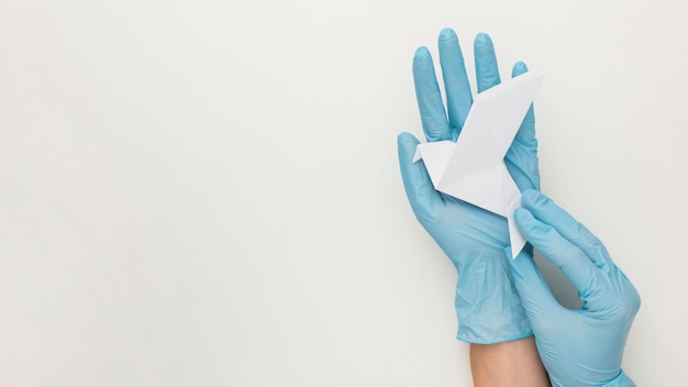 La vista superiore delle mani con i guanti che tengono la colomba con lo spazio della copia