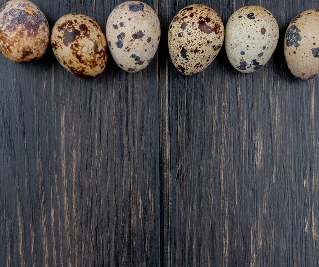 La vista superiore delle uova di quaglia con le coperture color crema ha sistemato in una linea su un fondo di legno con lo spazio della copia