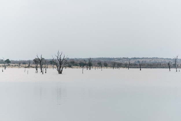 Lago africano