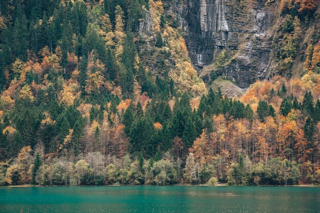 Lago circondato da rocce e boschi sotto la luce del sole durante il giorno