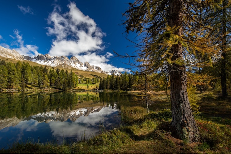 Foto gratuito lago circondato da rocce innevate e bosco con alberi che si specchiano sull'acqua