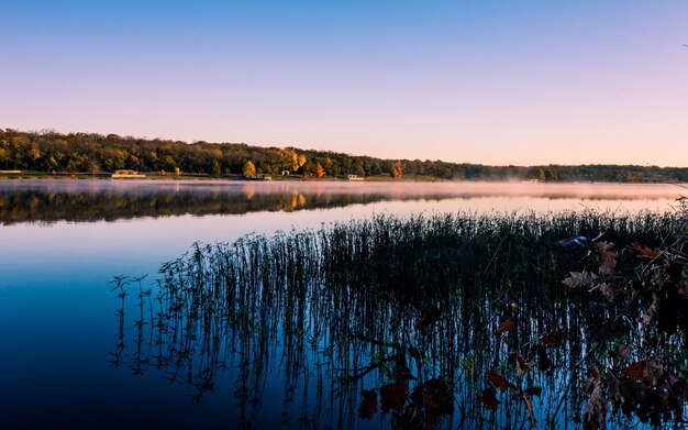 Lago con erba che riflette sull'acqua circondata da foreste coperte di nebbia durante il tramonto