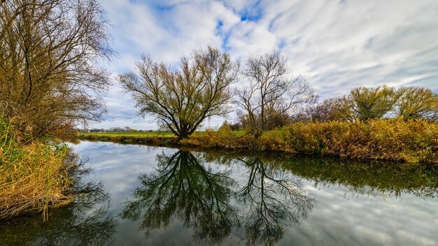 Lago con un riflesso di alberi durante una giornata nuvolosa