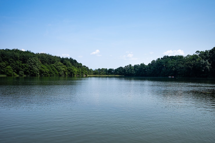 Foto gratuito lago in estate in una giornata di sole