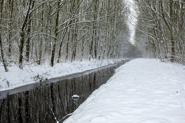 Lago in mezzo a campi innevati con alberi coperti di neve