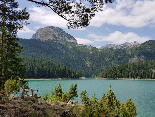 Lago Nero circondato da rocce ricoperte di vegetazione sotto la luce del sole in Montenegro