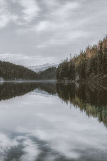 Lago tranquillo circondato da alberi