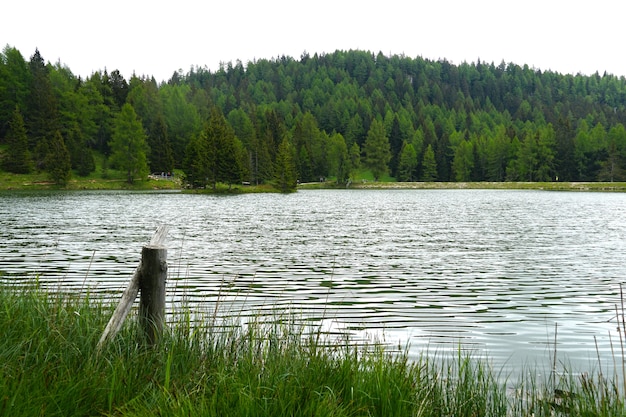 Lago Tret circondato da montagne coperte di foreste in Trentino, Italia
