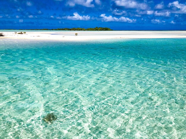 Laguna di Tikehau nella Polinesia francese