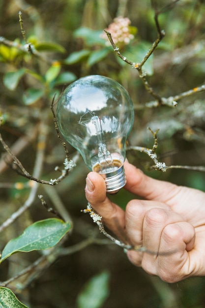 Lampadina di vetro in dita in natura estiva