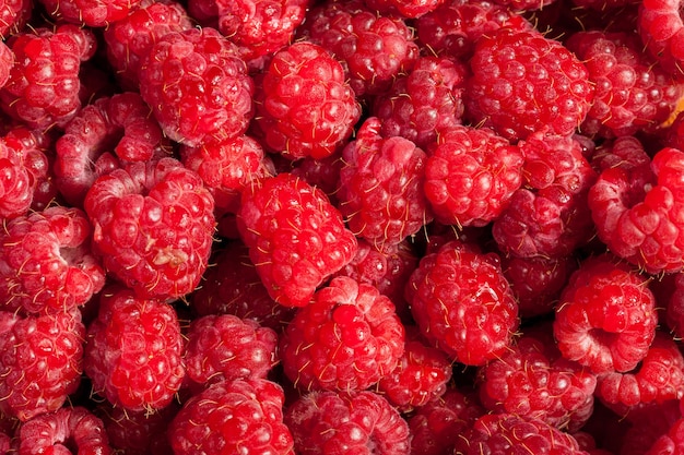 Lamponi rossi nella foto ravvicinata. Frutta cruda. uno stile di vita sano