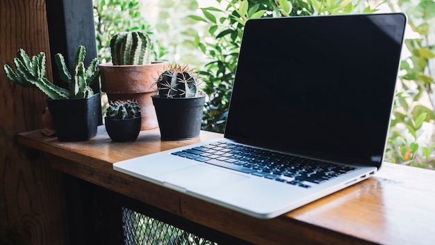 Laptop vicino a cactus graziosi