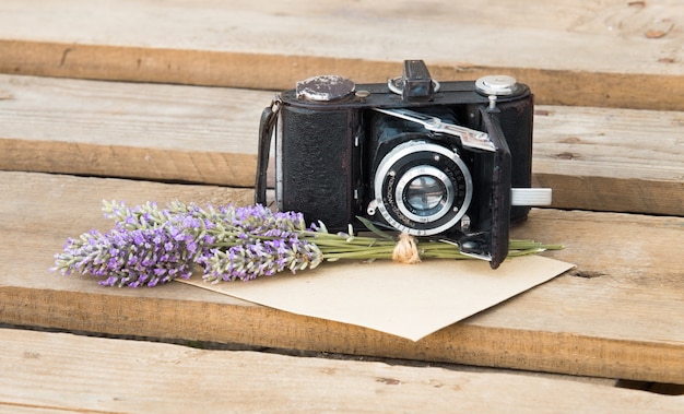 Lavanda e macchina fotografica