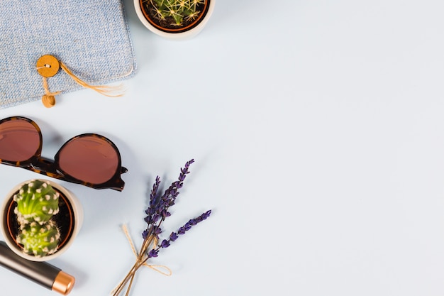 Lavanda; pianta di cactus; occhiali da sole; diario e rossetto su sfondo bianco