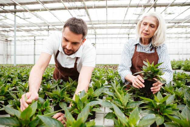 Lavoratori seri in giardino che guardano e toccano le piante