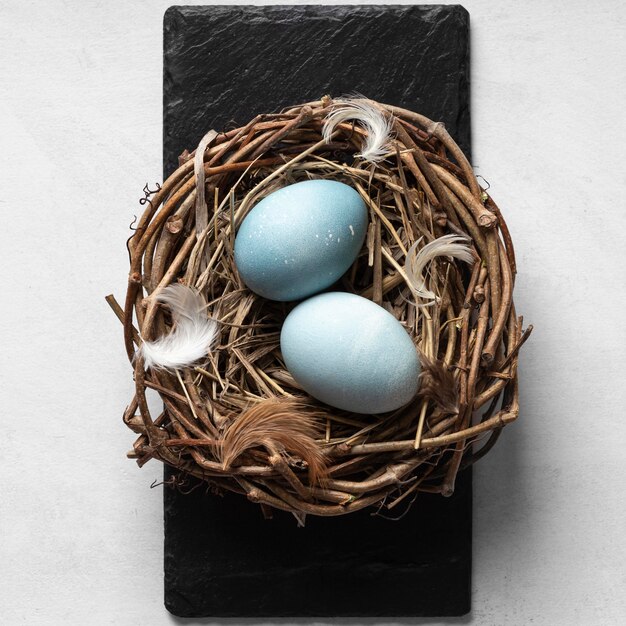 Lay piatto di uova di Pasqua nel nido di uccelli su ardesia